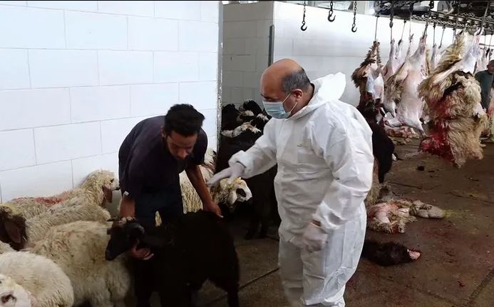 الصحة تحذّر: اللحوم غير المطبوخة جيداً قد تحتوي على "الحمى النزفية"