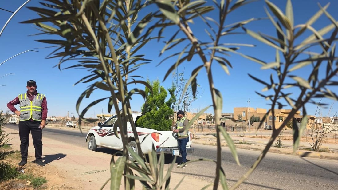 الأنبار.. عامرية الصمود تشهد حملة تشجير كبرى